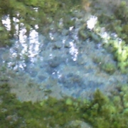 「湧き水」【クリンスイ】～水のある風景～　写真テーマ「冬」の投稿画像