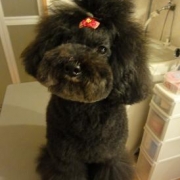 「お風呂が一番☆」「ペットフォトコンテスト～これがうちのコのあったかスタイル！」開催の投稿画像