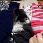 「ここが指定席！」「ペットフォトコンテスト～これがうちのコのあったかスタイル！」開催の投稿画像