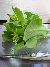 口コミ：トウ立ち　って意外に美味しい！？の画像（3枚目）