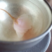 「３月末だというのに寒いですね。こういう日は桜の便りを待ちつつ暖かい部屋で一息♪」【クリンスイ】～水のある風景～　写真テーマ「ティータイム」の投稿画像