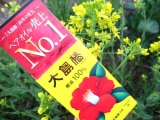 春も大島椿におまかせ！