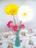 かわいいお花♪