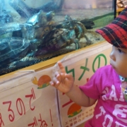 「カメさんみ～つけた！」【参加者全員】ベビーとお出かけの写真を投稿して柔らかシリコンスプーンプレゼント！の投稿画像