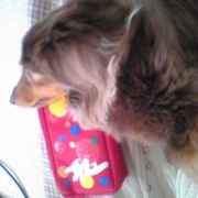 「ひまだなあ～！」「ペットフォトコンテスト～雨の日もご機嫌ハッピー！うちの子の梅雨の過ごし方」開催の投稿画像