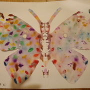 「蝶々」写真を送るだけ★『みせて！お子さんの工作・絵』☆選べるくもんのドリルプレゼント！の投稿画像