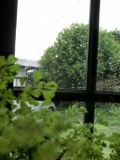 窓辺の雨