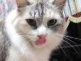 うみゃい