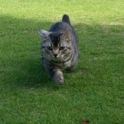 「甘えん坊の王子様」【写真応募で当選チャンス】キミは我が家のお姫様♪　ねこ姫カップ　モニター50名様の投稿画像