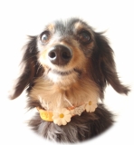 「スマイリーな口元がちゃーむぽいんと！」の画像（1枚目）