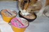 今日はご馳走でした。