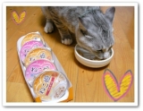 ねこ王子にねこ姫
