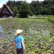「白川郷の暑い夏」【クリンスイ】～水のある風景～　写真テーマ「きれいな水」の投稿画像