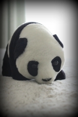 口コミ：WWFパンダペーパーに癒されて、、、♪の画像（8枚目）