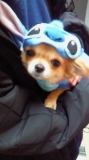☆我が子☆