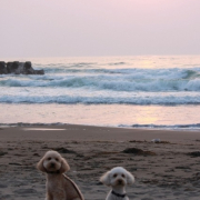 「思い出の日本海」あなたの傑作写真をステッカーにしてプレゼント。の投稿画像