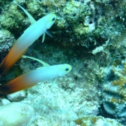 「寄り添う」【クリンスイ】～水のある風景～　写真テーマ「海」の投稿画像
