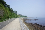日間賀島散策