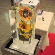 「街中で　見れる氷に　癒されて」第6弾_エルネ「フォト川柳コンテスト」入選でAmazonギフト券が当たる！の投稿画像