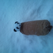 「パンダチャン枕」【美らっくす新発売記念】ひとやすみの時に使うお気に入りアイテムを教えてくださいの投稿画像