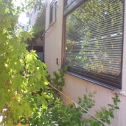 「節電」第6弾_エルネ「フォト川柳コンテスト」入選でAmazonギフト券が当たる！の投稿画像