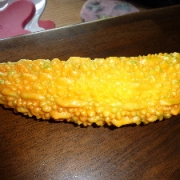 「夏の川柳」第6弾_エルネ「フォト川柳コンテスト」入選でAmazonギフト券が当たる！の投稿画像