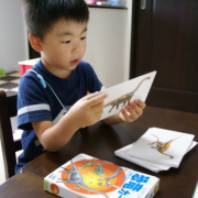 「☆恐竜カード☆」KUMONTOYが当たる！くもん出版ファンサイトトップを飾る子どもフォト大募集☆の投稿画像