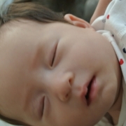 「我が家の姫ちゃん」イタリア製のクーファンですやすやお休み寝顔モデルを募集(画像投稿必須)の投稿画像