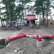 「311」思い出の写真でタイムトリップ！！『Qlix』フォトコンテストの投稿画像