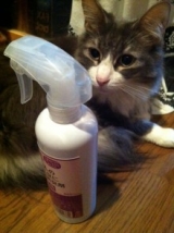 口コミ：【ペットのコジマ】猫ちゃんのおしっこ臭に特化した消臭剤【感想】の画像（1枚目）