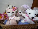 「★母が作ったぬいぐるみたち★」の画像（1枚目）