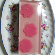 「ピンクの羊羹♡」ブログ無しOK！不思議な「パンツンパ」が当たります★ピンクの写真大募集！ワコールの投稿画像