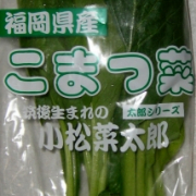 「小松菜とほっけのお粥。」【ママの味方プロジェクト】小松菜が大好きになるレシピ大募集！の投稿画像