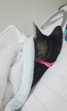 寒い朝は&hellip;