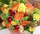 ビタミンカラー♪