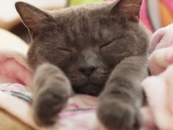 「前へならえ～」の画像（1枚目）