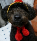 クリスマス仕様☆