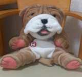 ワンちゃんと仲良し