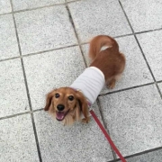 「お散歩楽しい♪」【優もあ】優しくユーモアな写真投稿で３名様にプラセンタドリンク３０本プレゼント！の投稿画像