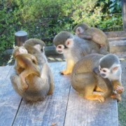 「寒いよぉ・・・」【優もあ】優しくユーモアな写真投稿で３名様にプラセンタドリンク３０本プレゼント！の投稿画像