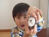 「おいしい～！！」の画像（2枚目）