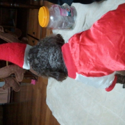 「ご主人の帰りを待つトナカイサンタ」【クリスマス＆お正月】ワンちゃんネコちゃん★フォトコンテスト【プレゼントあり！】の投稿画像