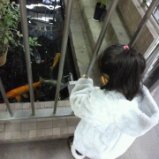 「駅の構内に∑(*ﾟｪﾟ*)」【クリスマス写真募集】受賞者3名様にCP015(カートリッジ付)プレゼント!の投稿画像