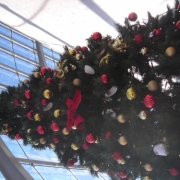 「クリスマスは美味しいケーキとツリーで・・・。」【クリスマス写真募集】受賞者3名様にCP015(カートリッジ付)プレゼント!の投稿画像