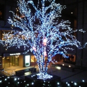 「クリスマス」【クリスマス写真募集】受賞者3名様にCP015(カートリッジ付)プレゼント!の投稿画像