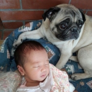 「姉と妹」お布団セット　キュート　モニター様募集の投稿画像