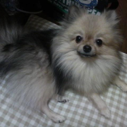 「にこにこだよっ！」【新春写真コンテスト】温泉水99 2L&times;6本 20名様プレゼント！の投稿画像