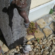 「水浴びカバちゃん♪」【クリンスイ商品プレゼント】蛇口のある風景写真を募集☆の投稿画像