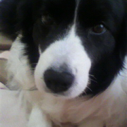 「目覚まし君」あなたの傑作写真をマグネットにいたします。の投稿画像