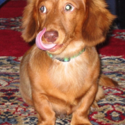 「決定的瞬間！」あなたの傑作写真をマグネットにいたします。の投稿画像